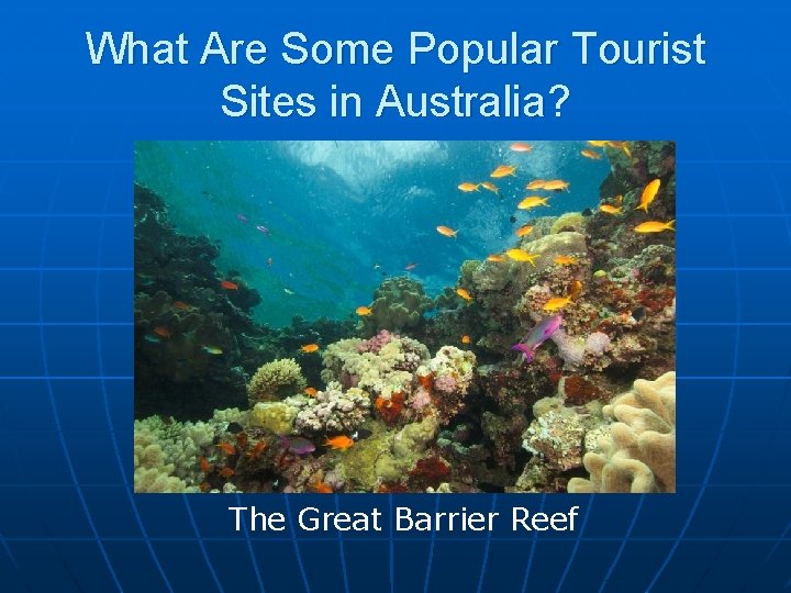 What Are Some Popular Tourist Sites in Australia? The Great Barrier Reef 