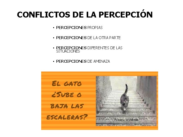 CONFLICTOS DE LA PERCEPCIÓN • PERCEPCIONES PROPIAS • PERCEPCIONES DE LA OTRA PARTE •