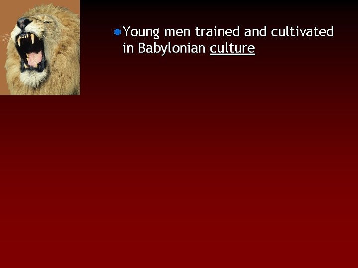 Young men trained and cultivated in Babylonian culture 