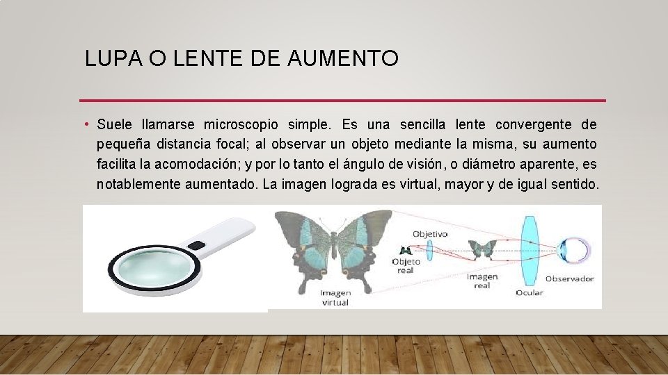 LUPA O LENTE DE AUMENTO • Suele llamarse microscopio simple. Es una sencilla lente