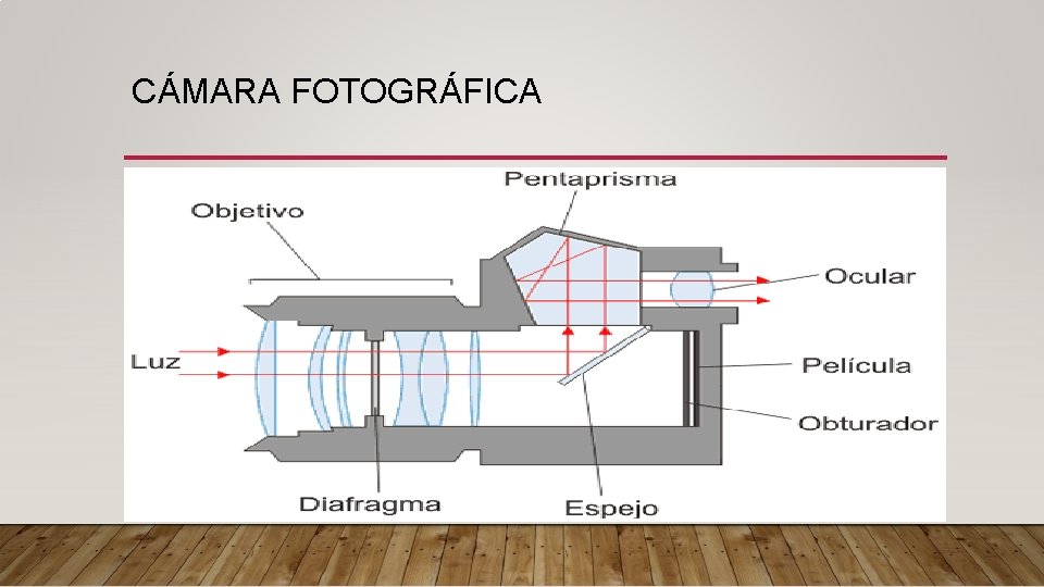 CÁMARA FOTOGRÁFICA • La cámara fotográfica en un instrumento óptico, que nos permite proyectar