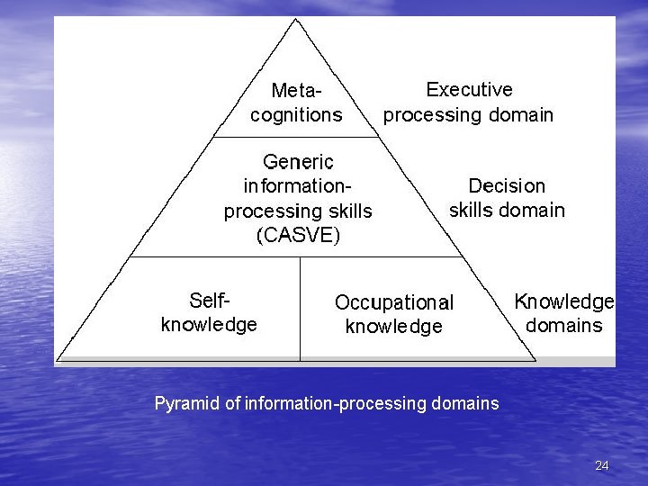 Pyramid of information-processing domains 24 
