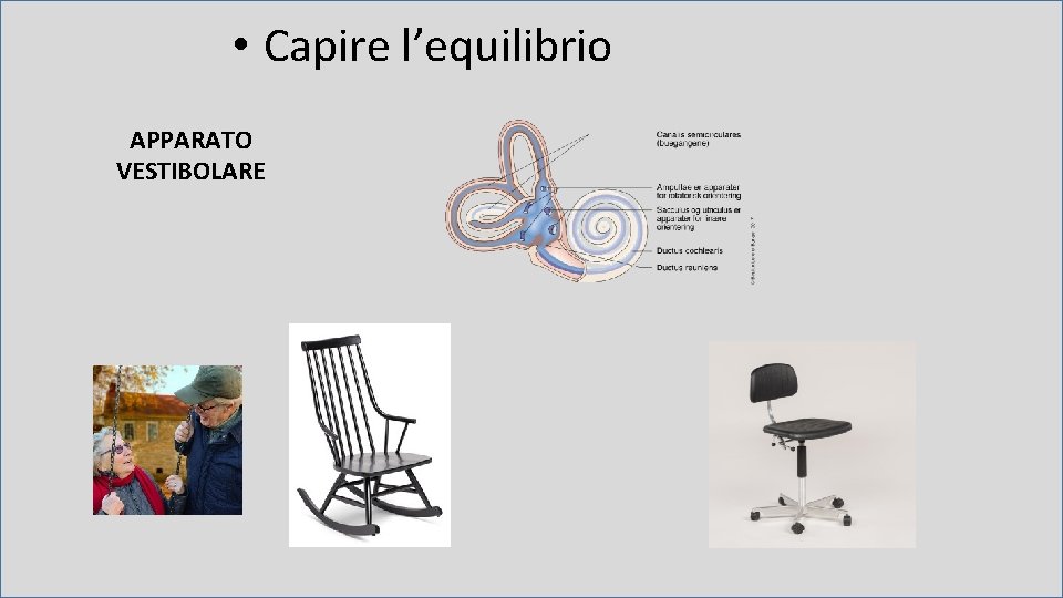  • Capire l’equilibrio APPARATO VESTIBOLARE 