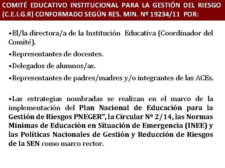 COMITÉ EDUCATIVO INSTITUCIONAL PARA LA GESTIÓN DEL RIESGO (C. E. I. G. R) CONFORMADO