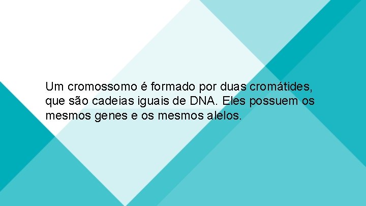 Um cromossomo é formado por duas cromátides, que são cadeias iguais de DNA. Eles