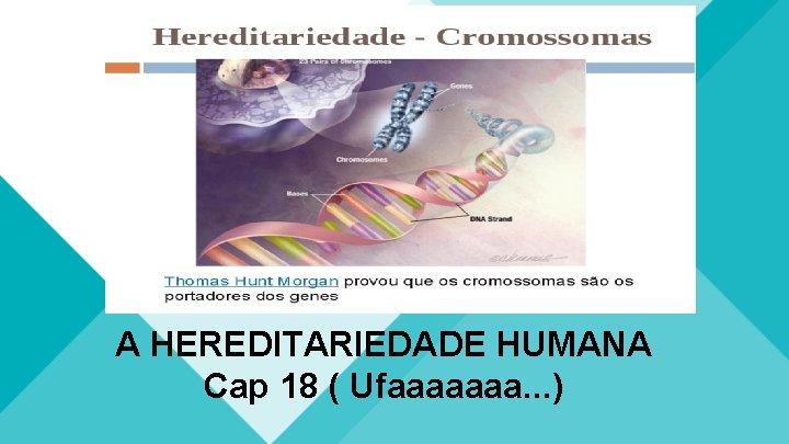 A HEREDITARIEDADE HUMANA Cap 18 ( Ufaaaaaaa. . . ) 