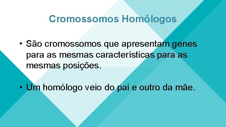 Cromossomos Homólogos • São cromossomos que apresentam genes para as mesmas características para as