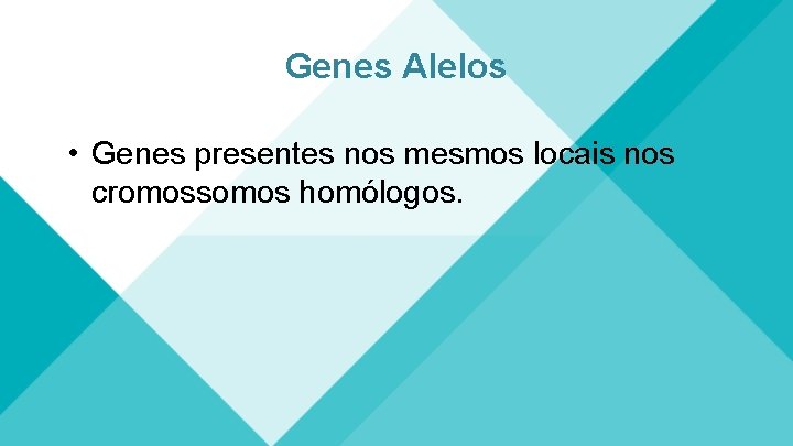 Genes Alelos • Genes presentes nos mesmos locais nos cromossomos homólogos. 