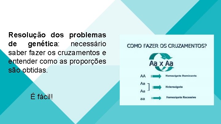 Resolução dos problemas de genética: necessário saber fazer os cruzamentos e entender como as