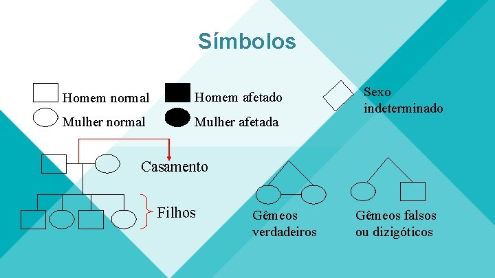 Símbolos Homem normal Homem afetado Mulher normal Mulher afetada Sexo indeterminado Casamento Filhos Gêmeos