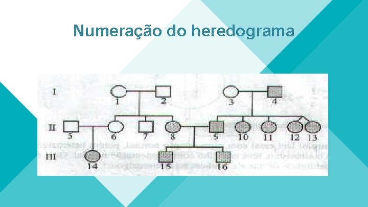 Numeração do heredograma 