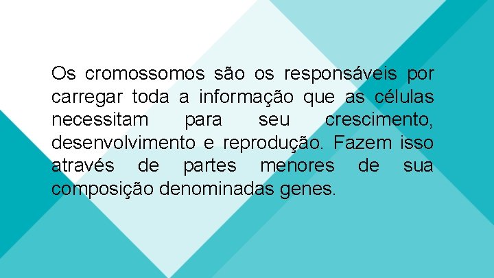 Os cromossomos são os responsáveis por carregar toda a informação que as células necessitam