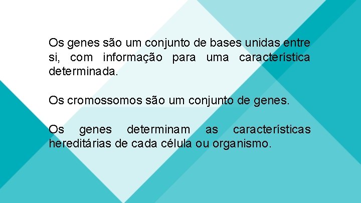 Os genes são um conjunto de bases unidas entre si, com informação para uma