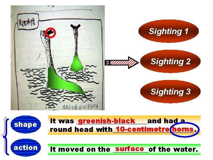 Sighting 1 Sighting 2 Sighting 3 shape It was __________and greenish-black had a 10