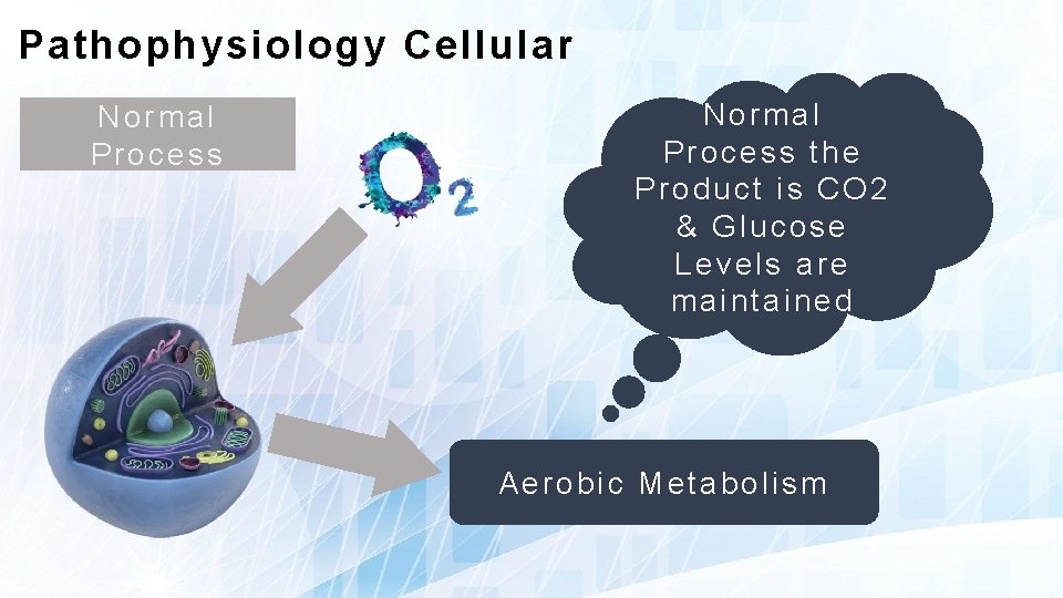 Pathophysiology Cellular Normal Process the Product is CO 2 & Glucose Levels are maintained