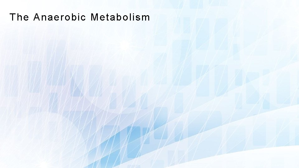 The Anaerobic Metabolism 