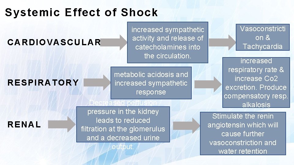 Systemic Effect of Shock CARDIOVASCULAR increased sympathetic activity and release of catecholamines into the