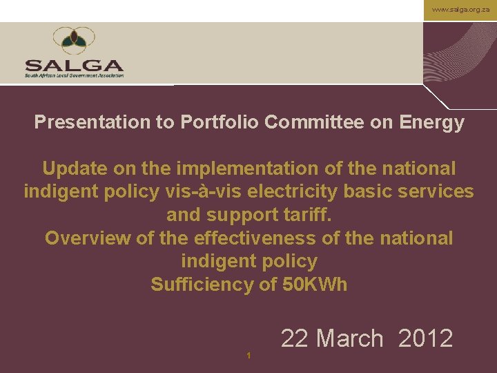 www. salga. org. za Presentation to Portfolio Committee on Energy Update on the implementation