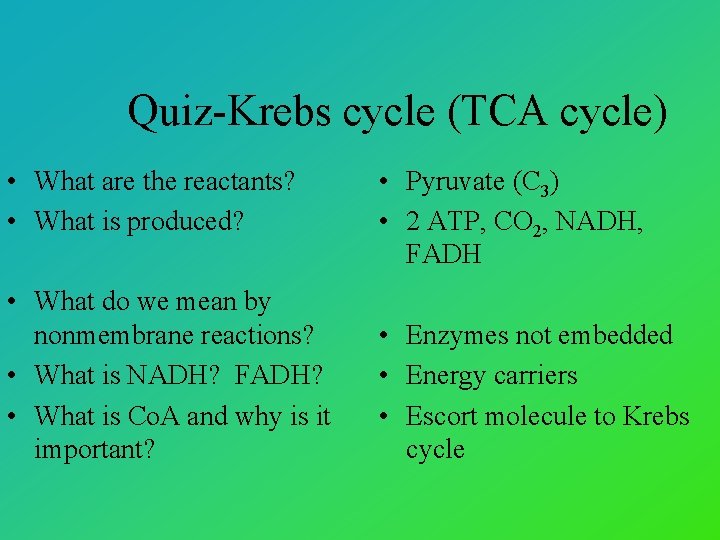 Quiz-Krebs cycle (TCA cycle) • What are the reactants? • What is produced? •
