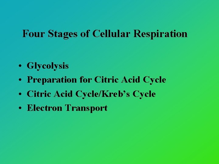 Four Stages of Cellular Respiration • • Glycolysis Preparation for Citric Acid Cycle/Kreb’s Cycle