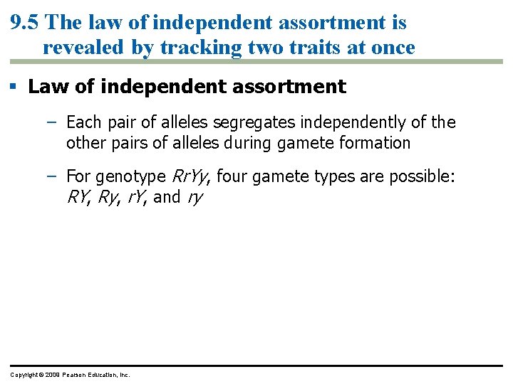 9. 5 The law of independent assortment is revealed by tracking two traits at