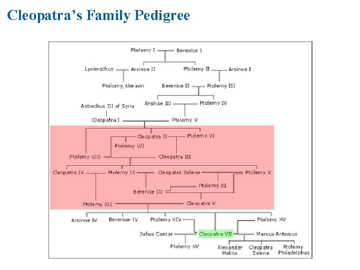 Cleopatra’s Family Pedigree 