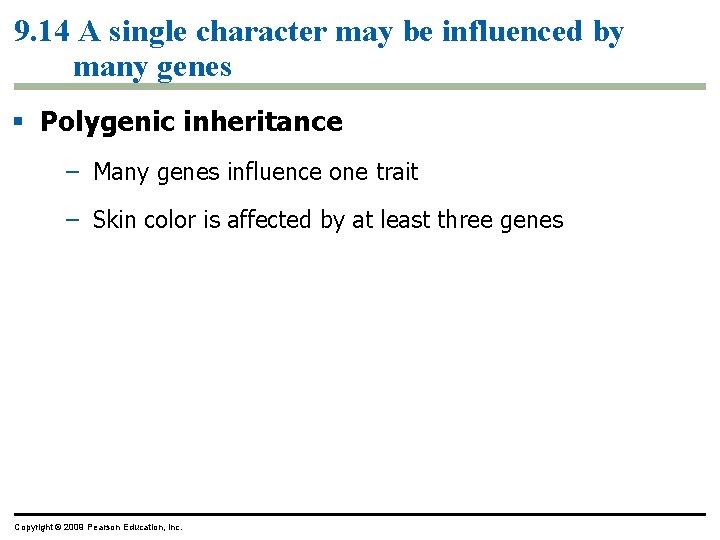 9. 14 A single character may be influenced by many genes Polygenic inheritance –