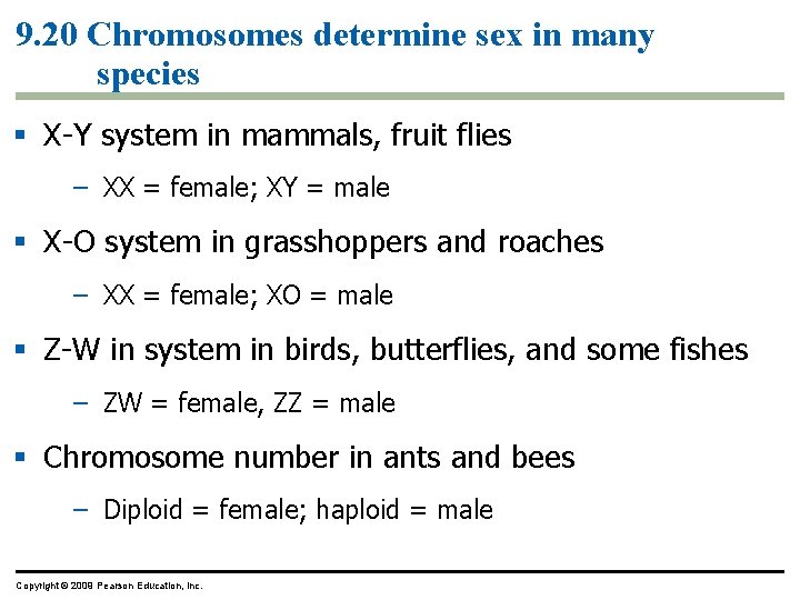 9. 20 Chromosomes determine sex in many species X-Y system in mammals, fruit flies
