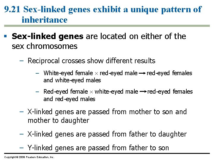 9. 21 Sex-linked genes exhibit a unique pattern of inheritance Sex-linked genes are located