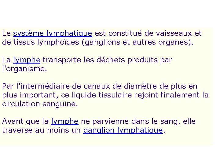 Le système lymphatique est constitué de vaisseaux et de tissus lymphoïdes (ganglions et autres