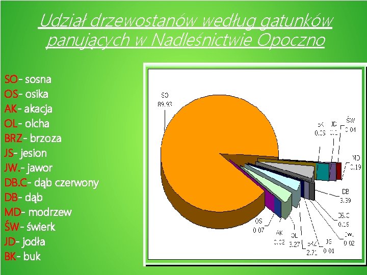Udział drzewostanów według gatunków panujących w Nadleśnictwie Opoczno SO- sosna OS- osika AK- akacja