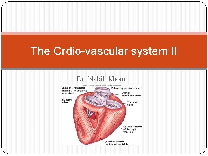 The Crdio-vascular system II Dr. Nabil, khouri 