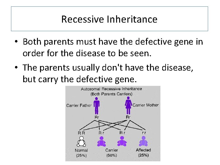 Recessive Inheritance • Both parents must have the defective gene in order for the