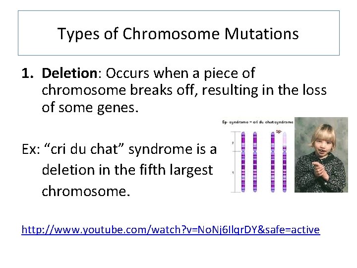 Types of Chromosome Mutations 1. Deletion: Occurs when a piece of chromosome breaks off,