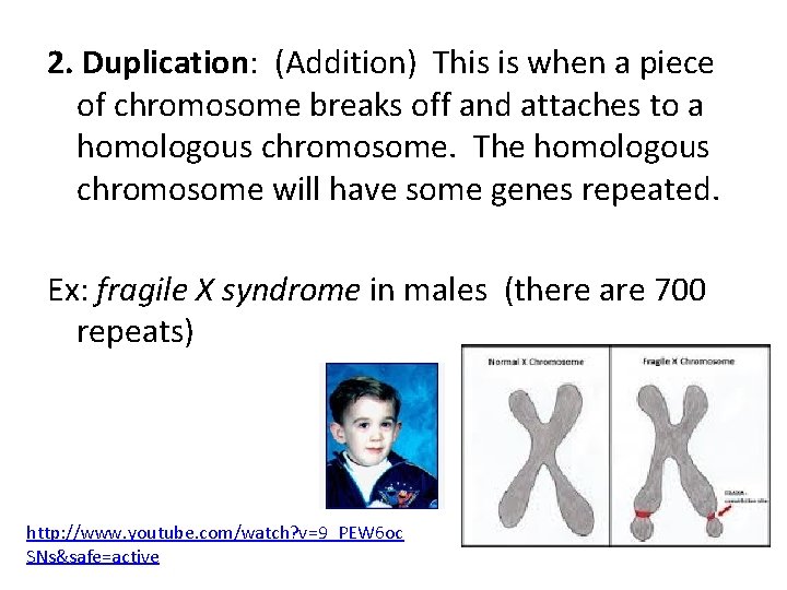 2. Duplication: (Addition) This is when a piece of chromosome breaks off and attaches