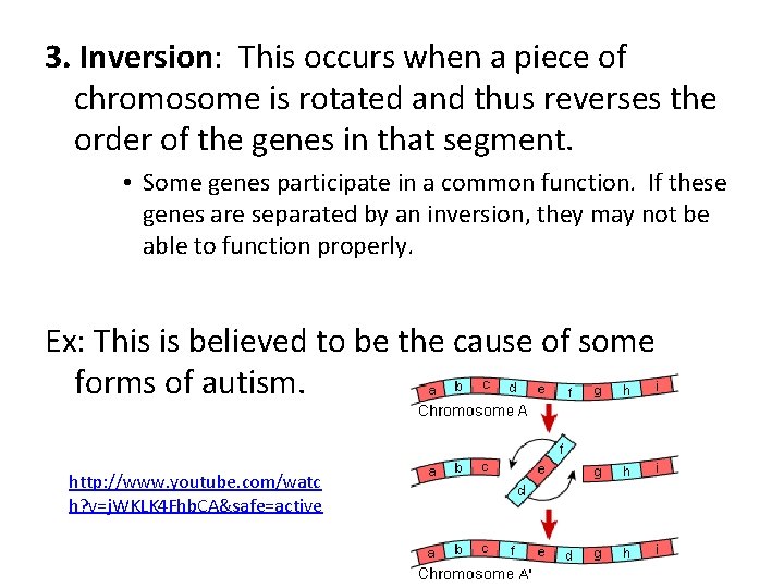 3. Inversion: This occurs when a piece of chromosome is rotated and thus reverses