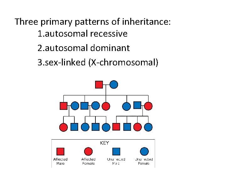 Three primary patterns of inheritance: 1. autosomal recessive 2. autosomal dominant 3. sex-linked (X-chromosomal)