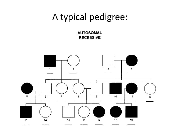 A typical pedigree: 