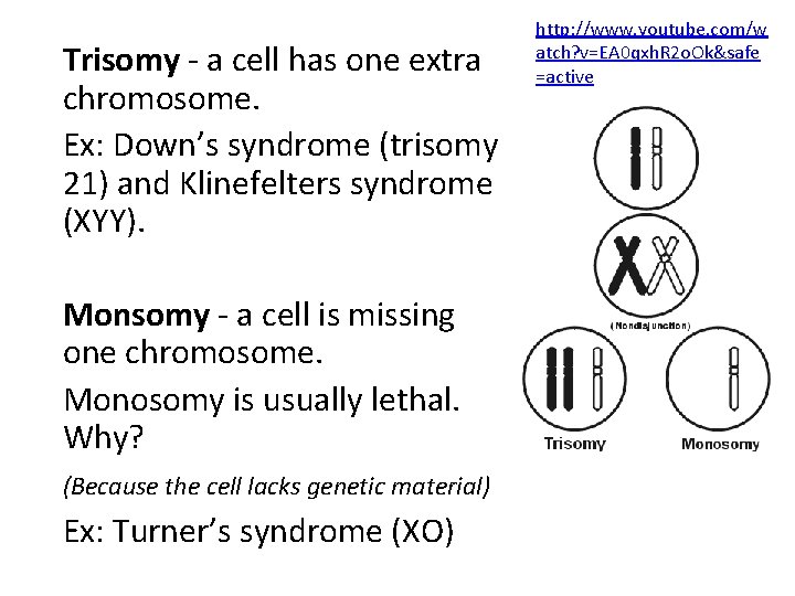 Trisomy - a cell has one extra chromosome. Ex: Down’s syndrome (trisomy 21) and