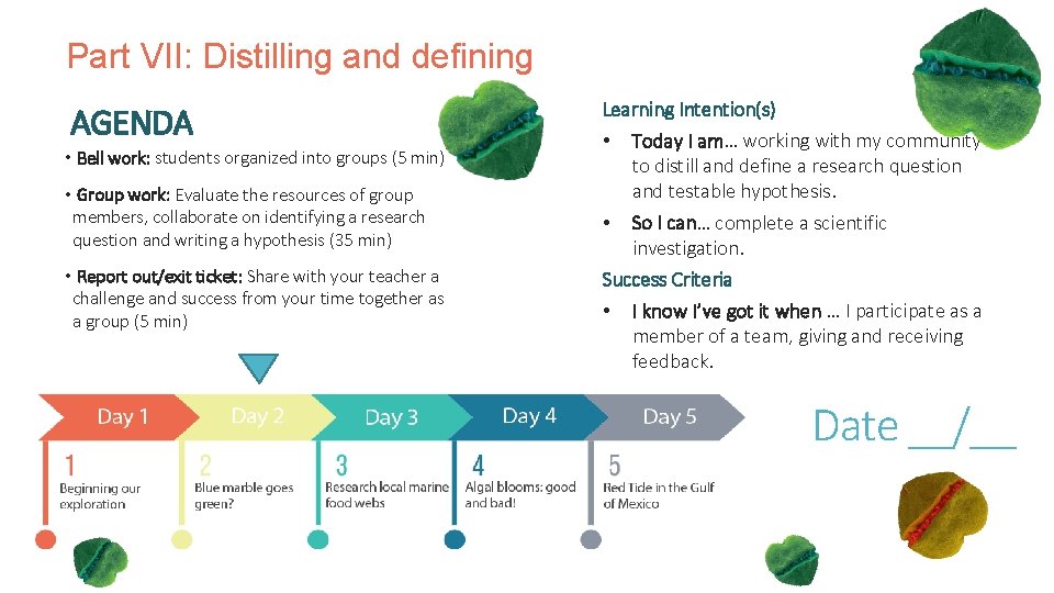 Part VII: Distilling and defining AGENDA • Bell work: students organized into groups (5