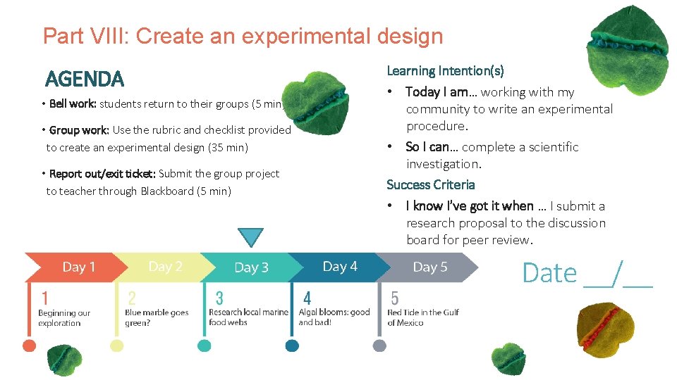 Part VIII: Create an experimental design AGENDA • Bell work: students return to their