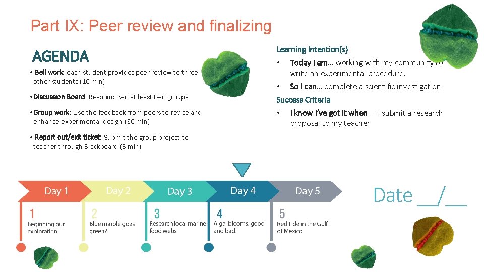 Part IX: Peer review and finalizing AGENDA • Bell work: each student provides peer