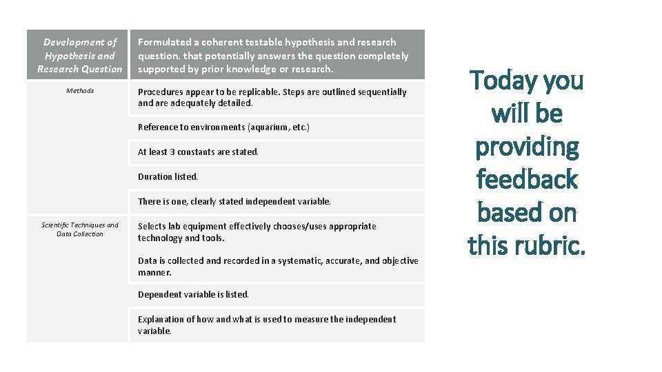 Development of Hypothesis and Research Question Formulated a coherent testable hypothesis and research question.