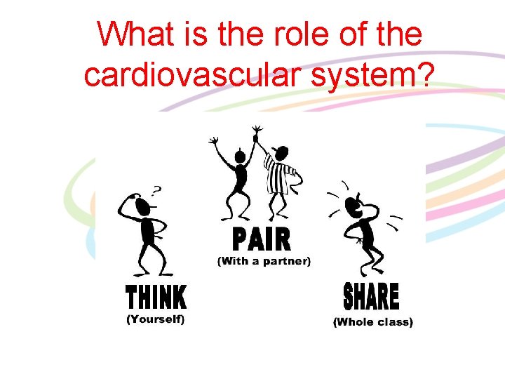 What is the role of the cardiovascular system? 