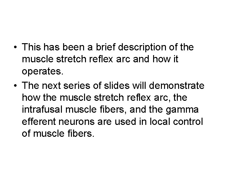  • This has been a brief description of the muscle stretch reflex arc