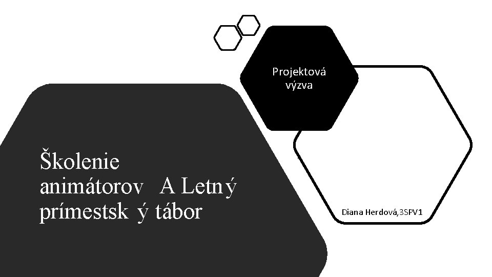 Projektov vzva kolenie animtorov A Letn prmestsk tbor