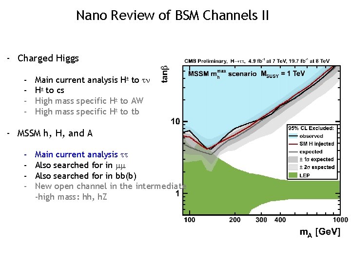 Nano Review of BSM Channels II - Charged Higgs - Main current analysis H±