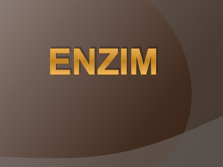 ENZIM 