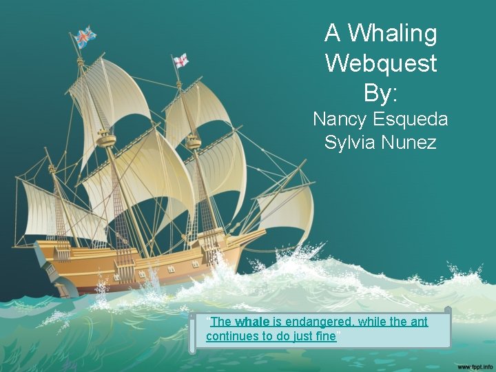 A Whaling Webquest By: Nancy Esqueda Sylvia Nunez “The whale is endangered, while the