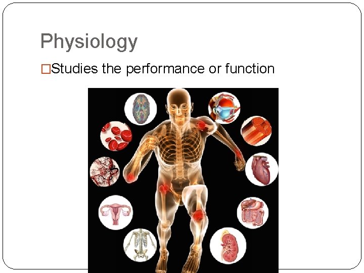 Physiology �Studies the performance or function 